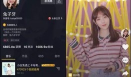 兔子姐姐前夫爆料视频,揭秘婚姻背后的惊人真相